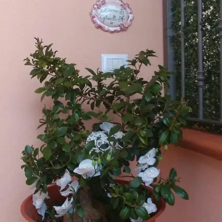 דירה Casabuono